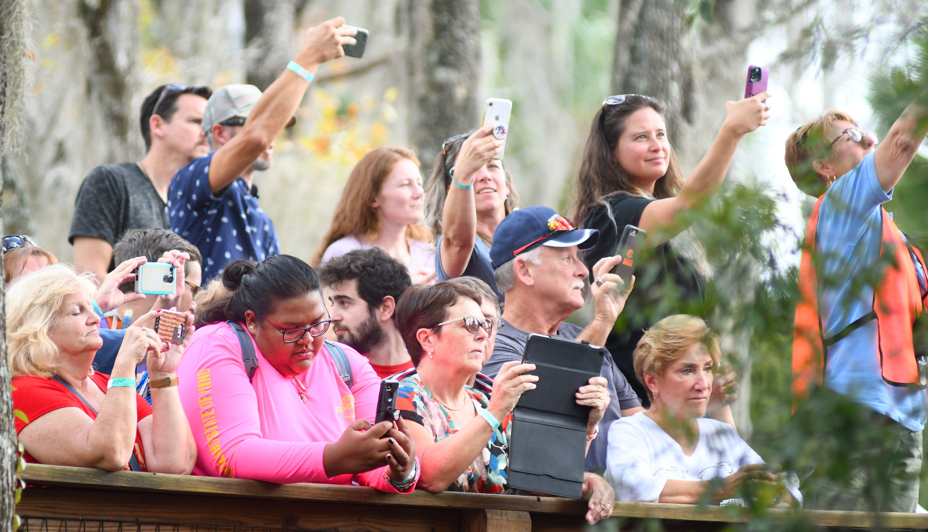 Manatee release 3.jpg